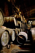 Port wine in wooden barrels in the Niepoort winery, Portugal