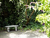 Romantischer, sommerlicher Gartenplatz mit Vintage Steinbank vor Efeuranken
