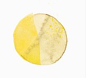 Kreis in zwei Gelbtönen (Illustration)