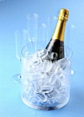 A bottle of sparkling wine in an ice bucket