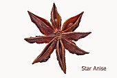 Star Anise Pods