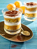 Apricot tiramisu