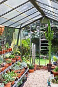 Greenhouse with gravel, various potted plants and cacti
