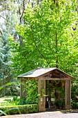Holzpavillion mit Satteldach und Gitterstruktur unter Ahornbaum