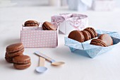 Chocolate macaroons in various types of gift pakaging