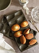 Madeleines in the baking tin