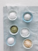 Variety of Salt