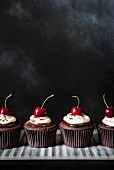 Black Forest cherry cupcakes with ganache, cream and cherries
