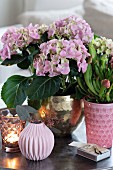 Hydrangea, pitcher plant and vases on tray