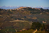 Der Weinort La Morra, davor Weinberge inmitten des Barolo DOCG Anbaugebietes