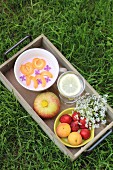 Yoghurt, fruit and drinks on a wooden table on the grass