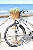 Bicycle leaning against wooden fence on beach