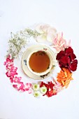 Eine Tasse Tee umrahmt von verschiedenen Blüten (Aufsicht)