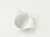 A splash of milk (close-up)
