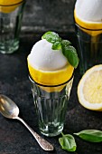 Lemon sorbet served in Apollo about lemon garnished with sugared basil leaves
