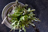 A small head of lettuce on an old pewter plate