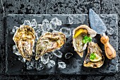 Fresh oysters on black stone with ice cubes