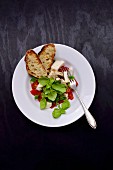 Tomaten-Mozzarella-Salat mit knusprigem Brot
