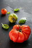 Verschiedene Tomaten mit Wassertropfen und Basilikum