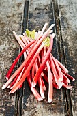 Heap of rhubarb