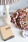 Dried hydrangea flowers, book and table lamp on bedside table