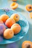 Apricots on a blue plate