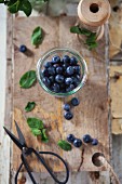Fresh blueberries with mint and a pair of herb scissors on a wooden work surface