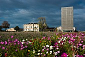 A field of wild flowers with Gruaud Larose palace and tower in the background