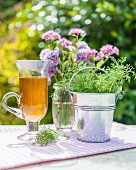 Chamomile in a tin bucket, tea and flowers on a garden table