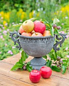 Äpfel in Steinamphore auf Gartentisch