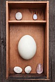 Pebbles, crystal and egg in wooden box