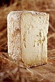 Escarun (hard cheese from Piedmont, Italy)