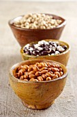 Various types of Italian beans in wooden bowls