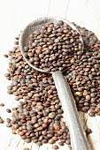 Lentils on a spoon