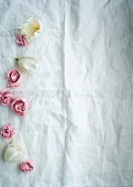 Homemade paper roses as decoration