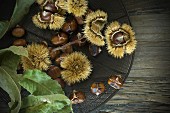 Chestnuts, raw and roasted