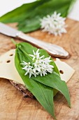 A slice of bread topped with cheese, wild garlic leaves and edible wild garlic flowers