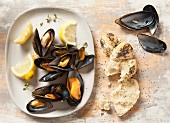 Mussels on an oval plate with lemon and fresh thyme