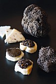 Truffles from the Buzet region, black truffles with bread and cheese, Istrian, Croatia