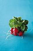 A bundle of radishes on a blue surface