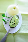 A spoonful of avocado and apple ice cream