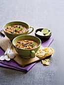 Mexican bean and tomato soup with nachos