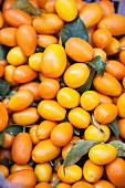 Viele Kumquats mit Blättern