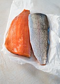 Salmon trout fillets on white paper