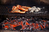 Lobster and mussels being grilled over an open fire