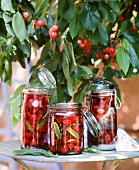 Cherries in preserving jars on a table outside