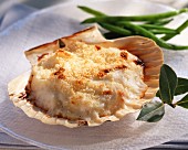 Gratinated scallops