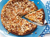 Apricot cheesecake with oats