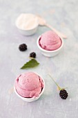 Blackberry-yogurt ice cream
