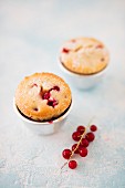 Muffins with red currants
